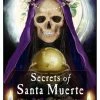 Succubus Books Secrets Of Santa Muerte Book